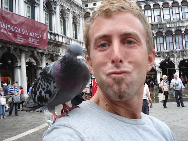 Italy Venice Birds4